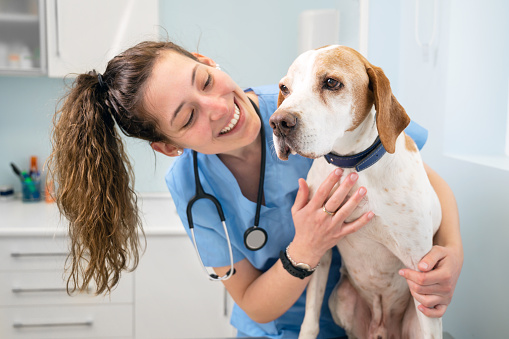 A dog with female vet