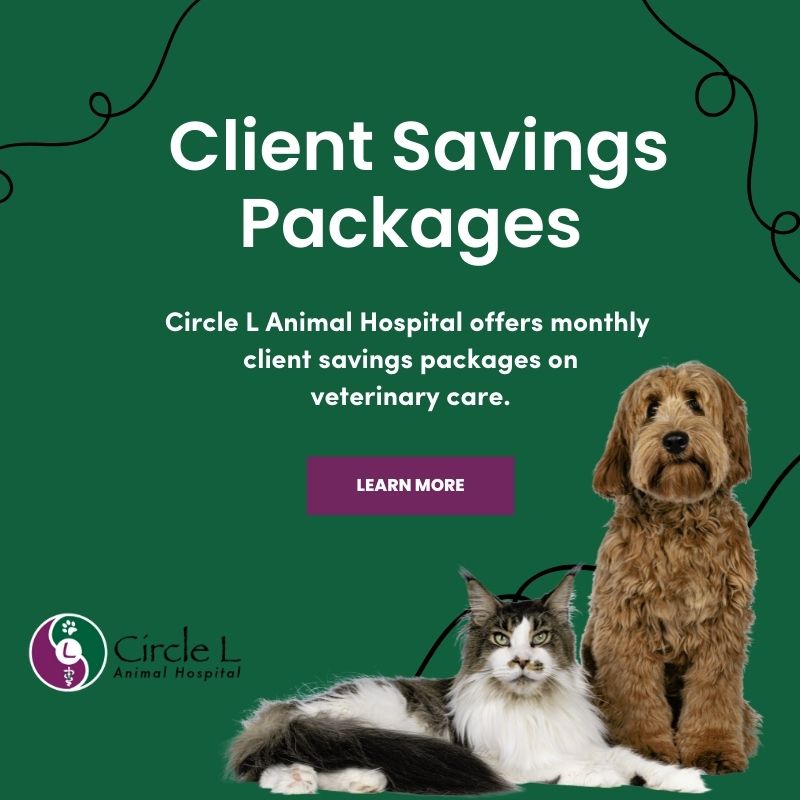 Monthly Client Savings