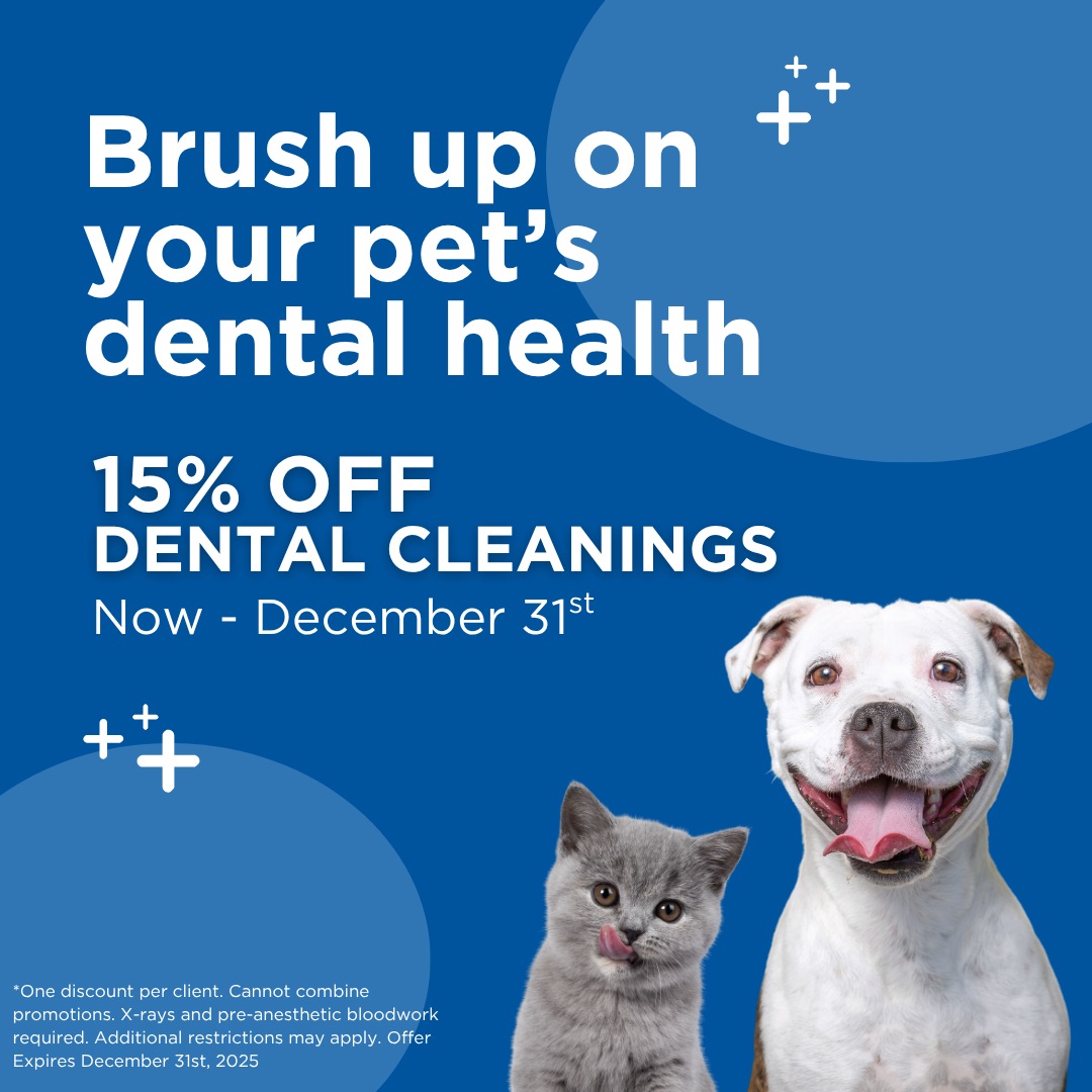 Circle L_Q4 promo $50 off